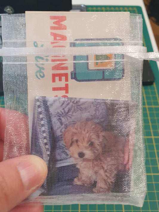 1 magnes „Solo kadr”